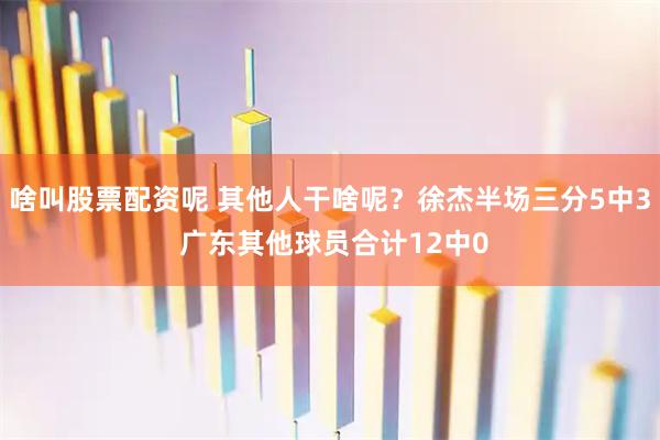 啥叫股票配资呢 其他人干啥呢？徐杰半场三分5中3 广东其他球员合计12中0