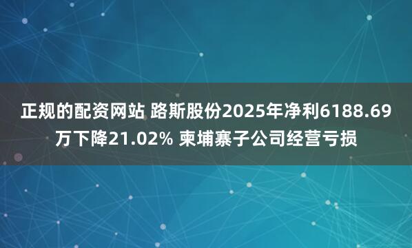 正规的配资网站 路斯股份2025年净利6188.69万下降21.02% 柬埔寨子公司经营亏损