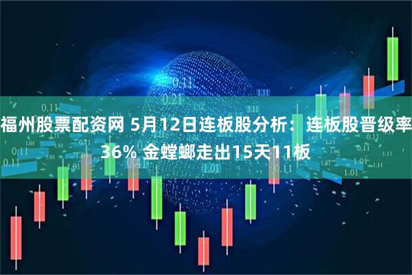 福州股票配资网 5月12日连板股分析：连板股晋级率36% 金螳螂走出15天11板