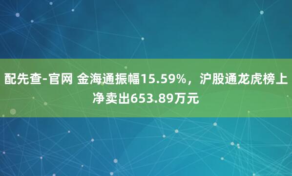配先查-官网 金海通振幅15.59%,沪股通龙虎榜上净卖出653.89万元